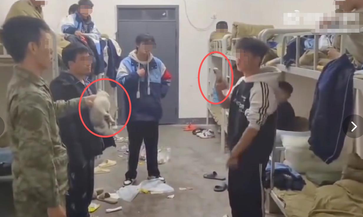 对于湖南职校的摔猫事件，宿舍教官和学生双方都有不可推卸的责任！事情发生在12月