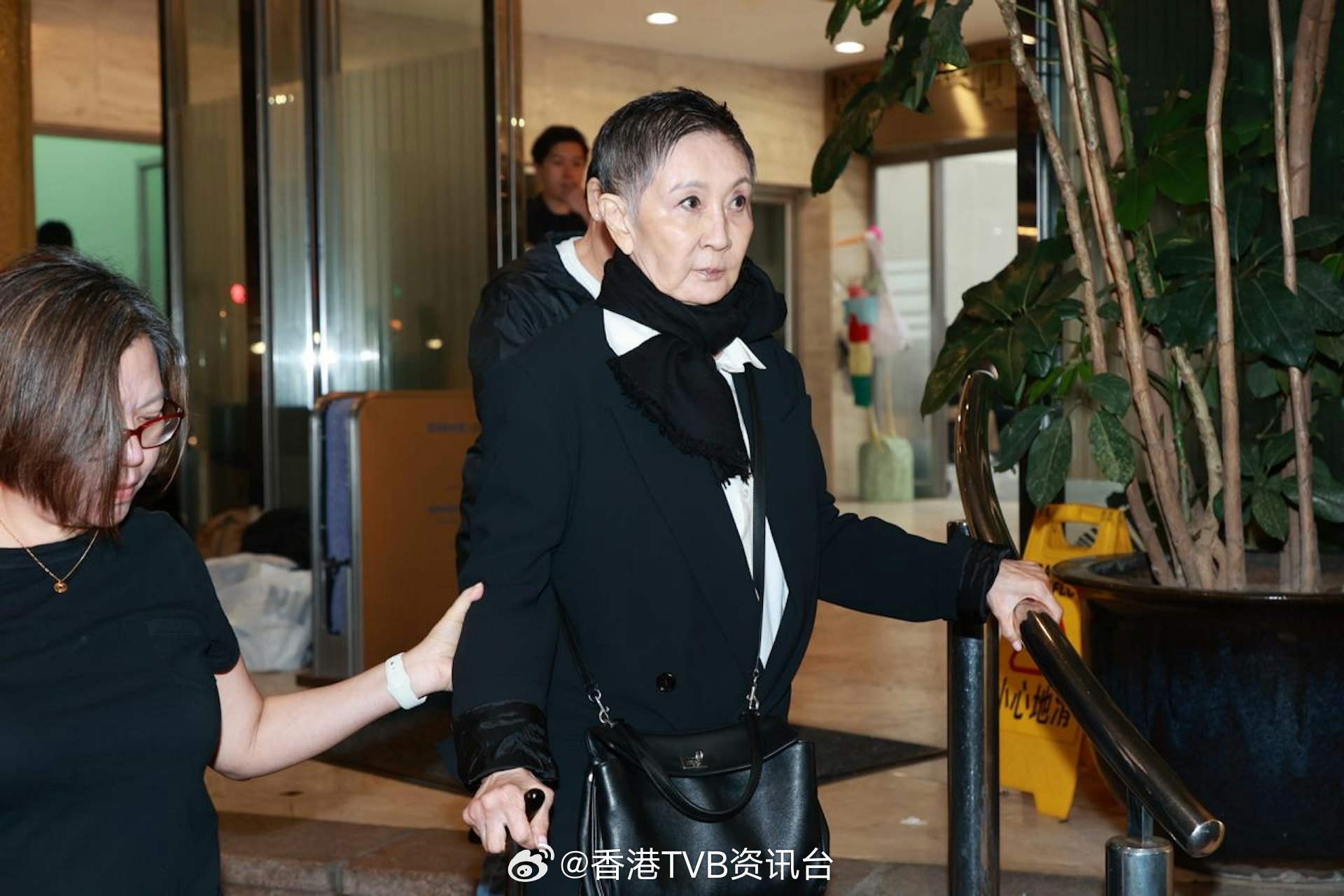 施南生最后公开亮相为谷薇丽丧礼，拄拐需两人搀扶仍坚持到场送别施南生去世纵横华