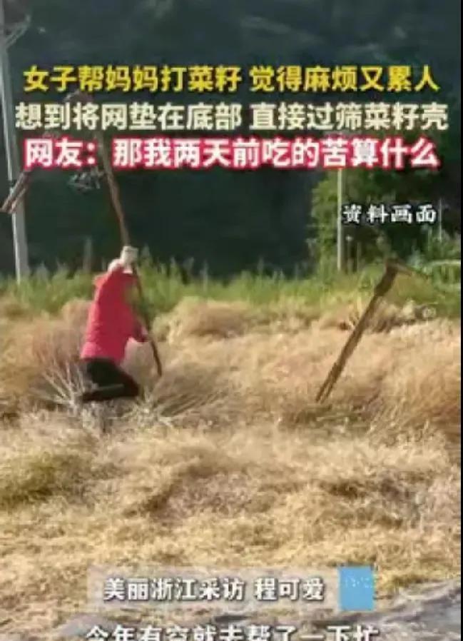 “火到人民日报！”安徽一女子帮妈妈打菜籽，觉得又麻烦又累人，女子灵机一动，决定把