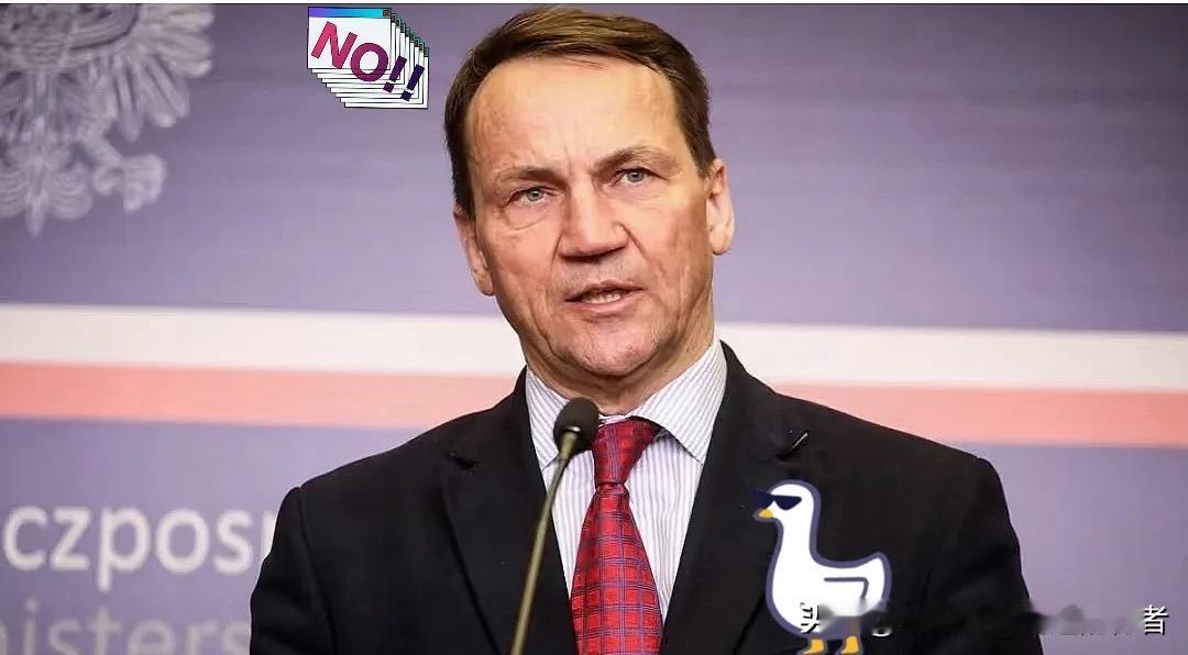 我果然没有猜错波兰外长祸从口出，中国声明震撼欧洲！波兰外长西科尔斯基