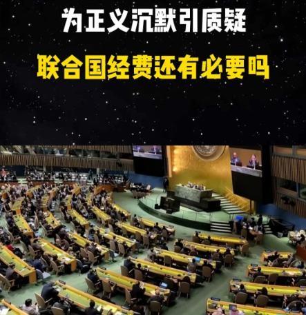 美：我说老弟，你们在安理会搞那套“重振方案”，到底是啥意思？中：没啥意思，就是