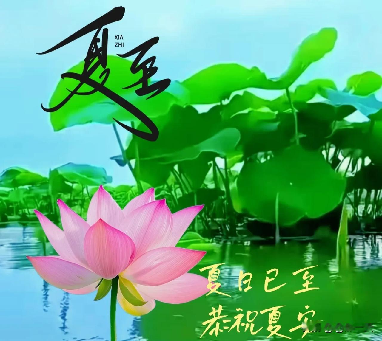[比心][比心]夏至安康转眼来到六月中昼短夜长暑气浓日晒汗流如雨注开窗难觅一