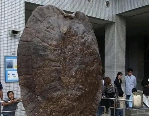 1994年5月，江苏盐城射阳河千秋大桥施工现场，早起的工人们大吃一惊，前一天晚上