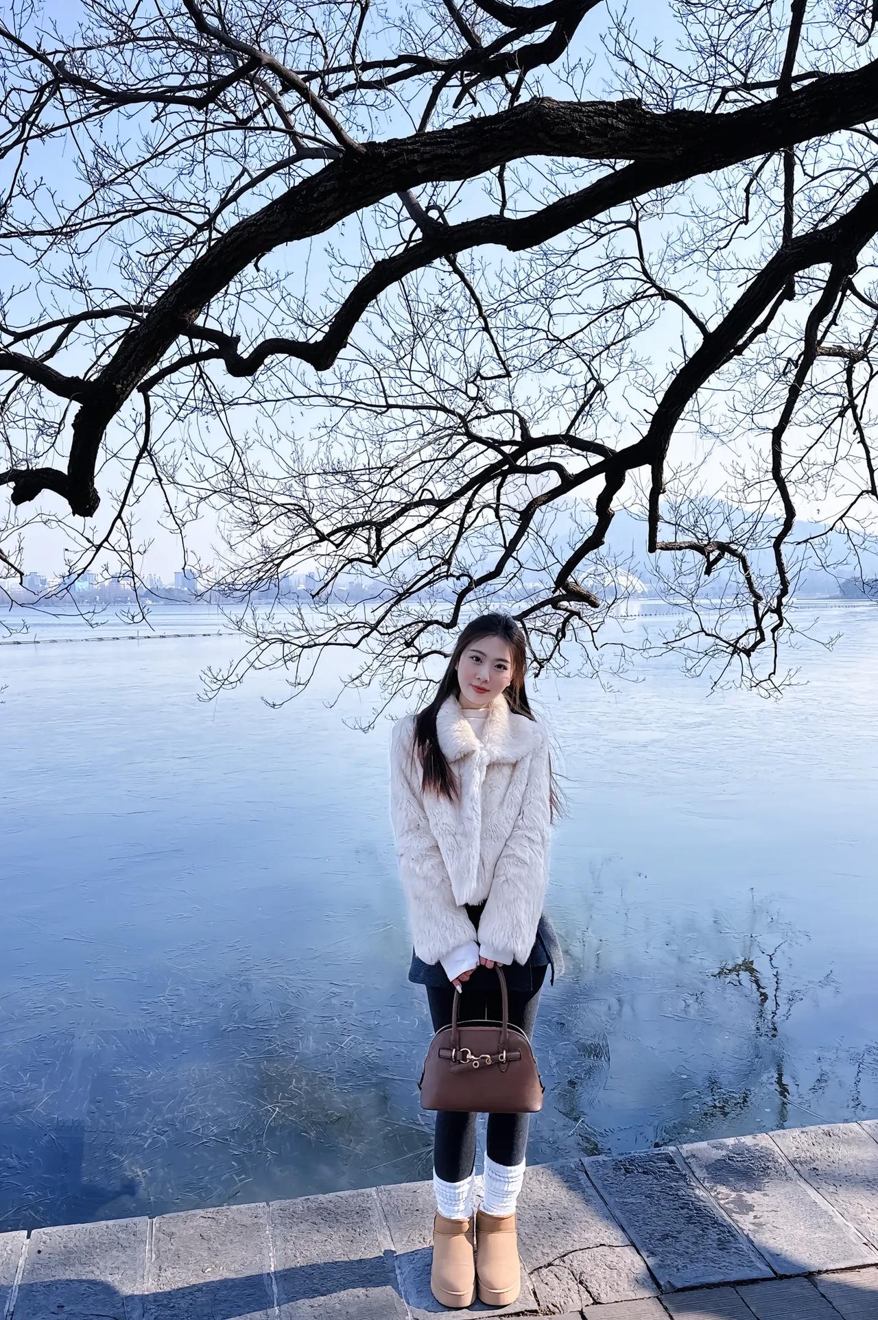 寒枝临水立，雪影入画来。