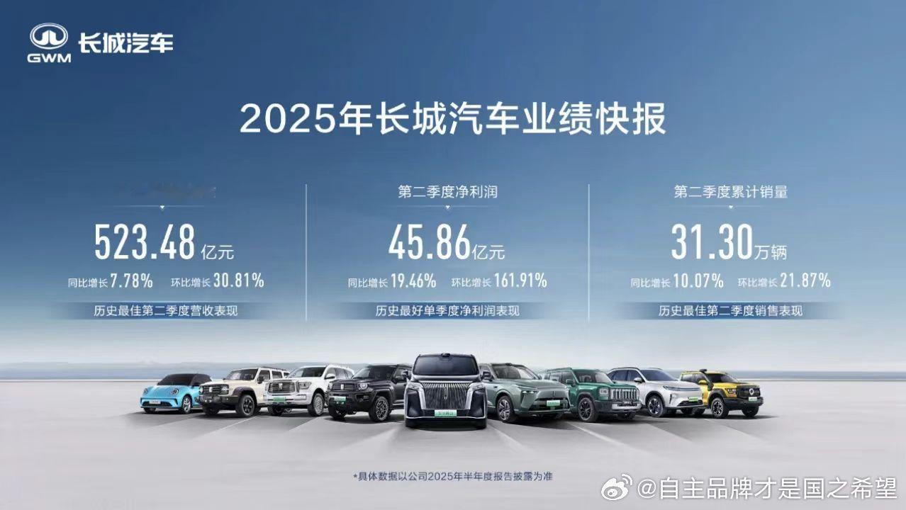 长城刚刚取得历史最佳第二季度成绩热销31.3万净利润45.86万​​​