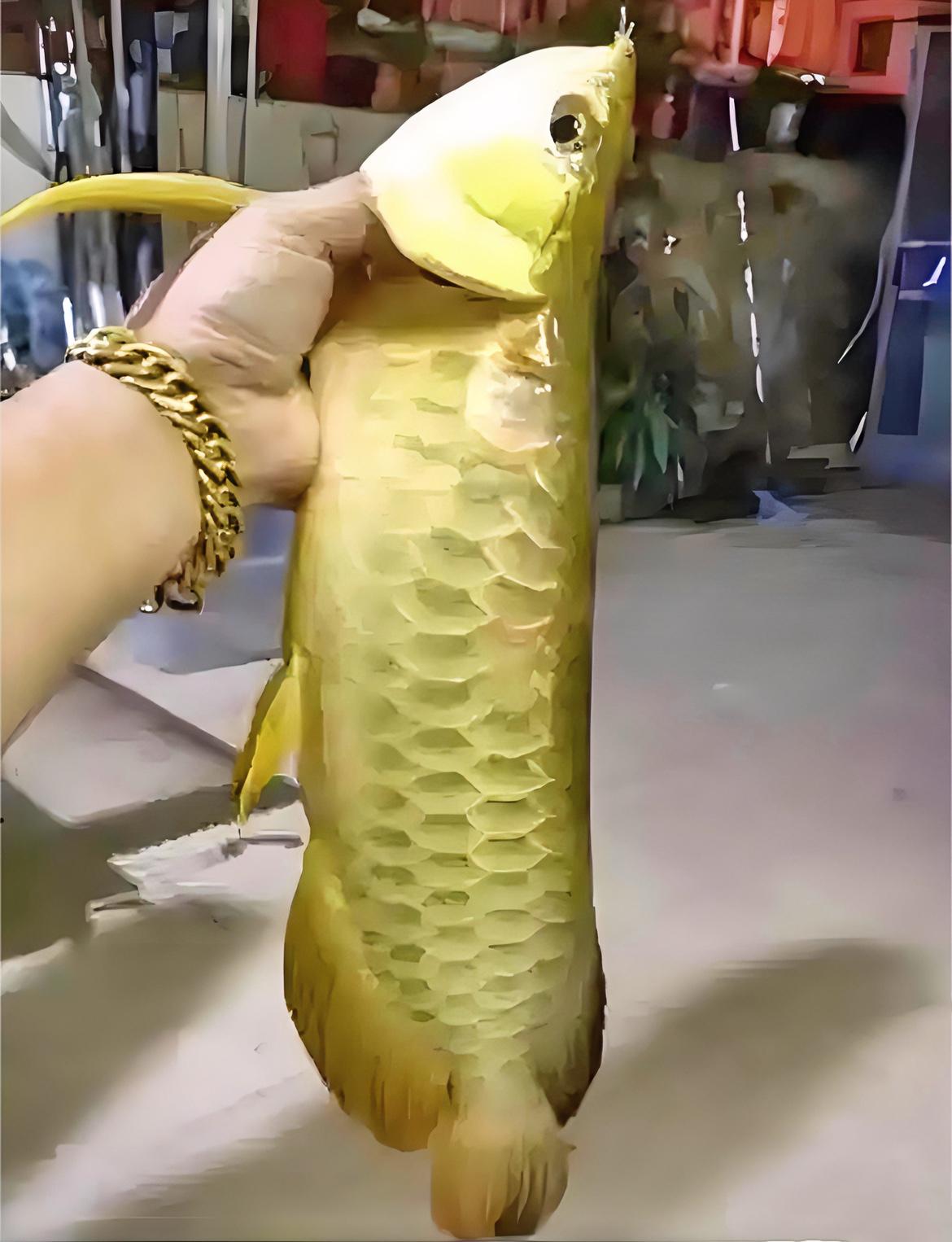 浙江丽水，一位富婆养了四年的金龙鱼突然死了。她舍不得扔，咬牙下锅炖熟，可当香