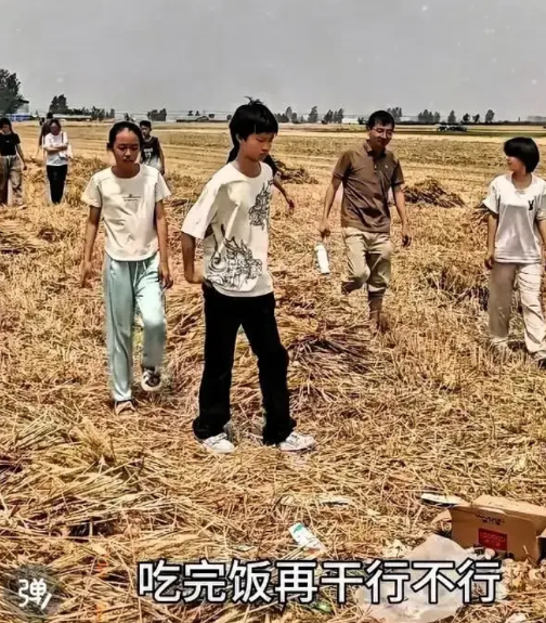 这个90后校长是个“狠人”！凌晨5点，带领128名学生，手拿镰刀，去自家麦田，割