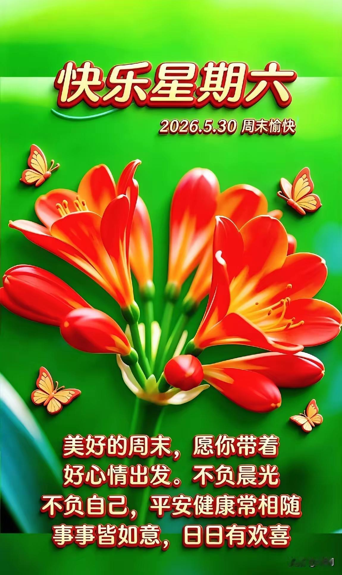 愉快周六，阳光正好微风不燥，向阳出发一半烟火，一半诗意心怀暖意，不负周末