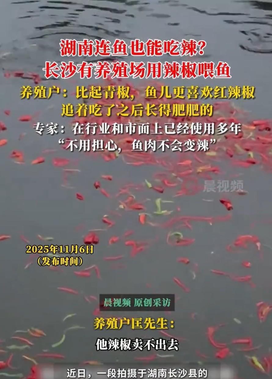 突然感觉自己活的还真不如湖南的一条鱼了因为活了快大半辈子了我平时都不怎么敢