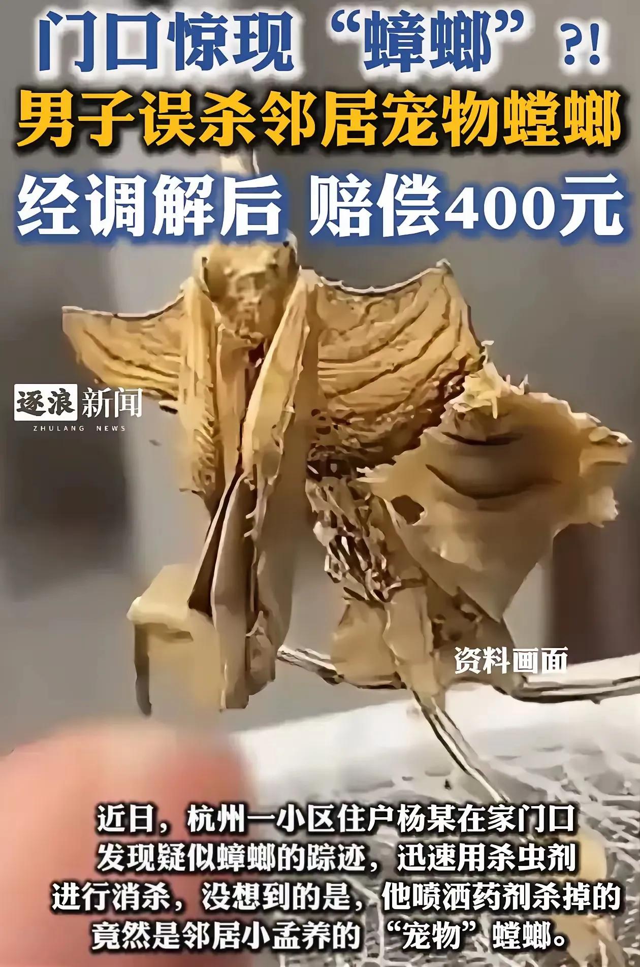 “解释不清了！”浙江，杨某看到家门口有虫子，掏出杀虫剂就是一顿喷，结果邻居却找上