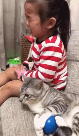 猫咪也有投降的一天，哈哈哈哈！！