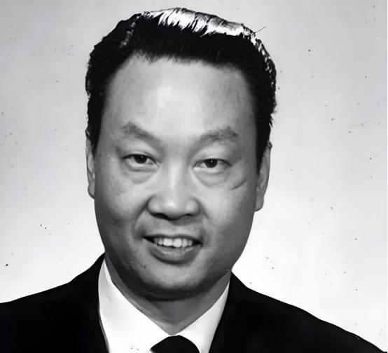 1986年，潜伏美国长达37年的王牌特工金无怠被捕，在遭受严酷审讯后，他突然有气