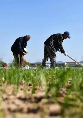 现在我们国家有一个非常矛盾的问题，都知道农民种地不赚钱，但粮食却不能涨价，因为粮