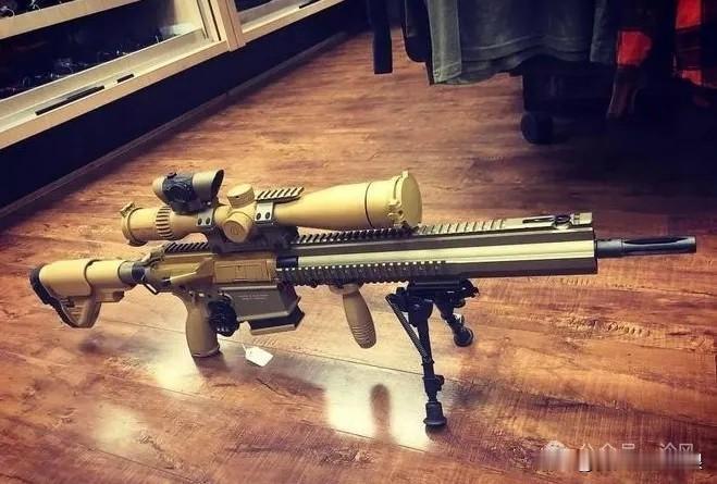 G28狙击步枪