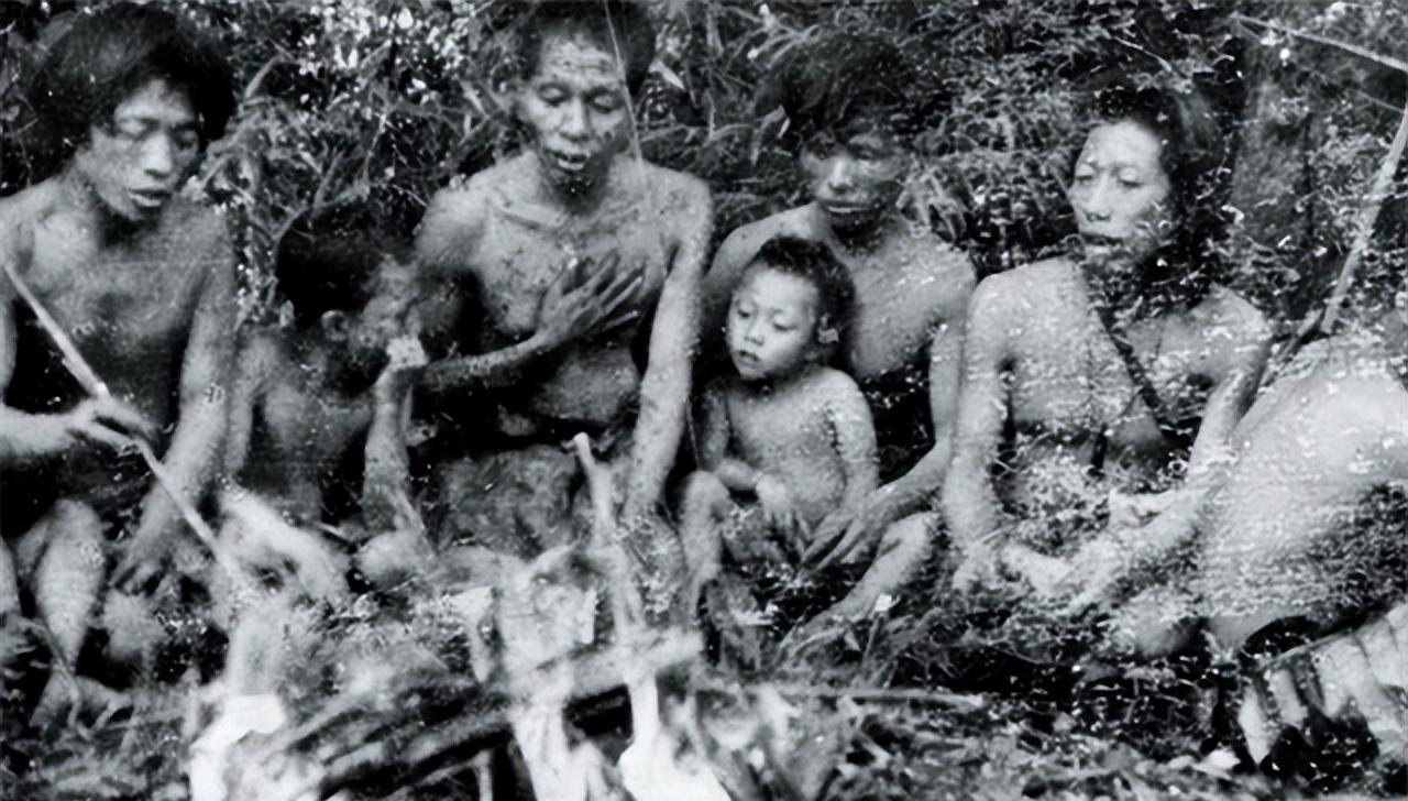 1956年，解放军在云南原始森林深处，发现一群衣不蔽体，蓬头垢面的男男女女!经过