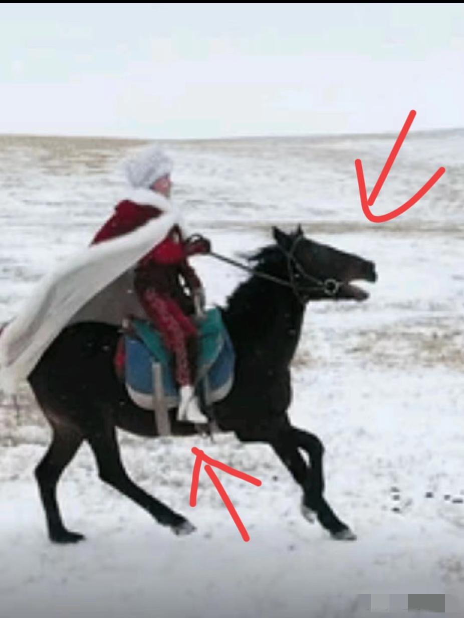 细节是骗不了人的！不信你看贺娇龙，她平常的骑马视频，居然马蹬踩的太往里面了