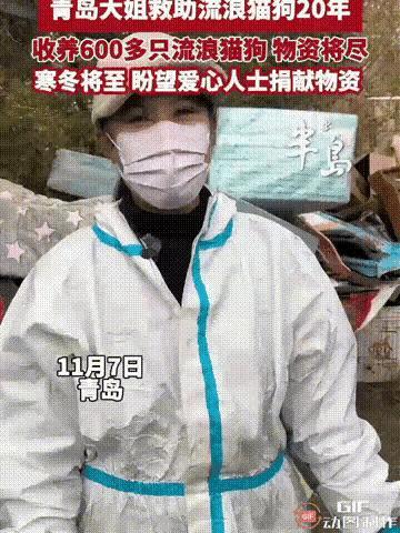 泪目了！一位大姐居然收养照顾600多只流浪猫狗，风雨无阻从不间断地坚持了20多年