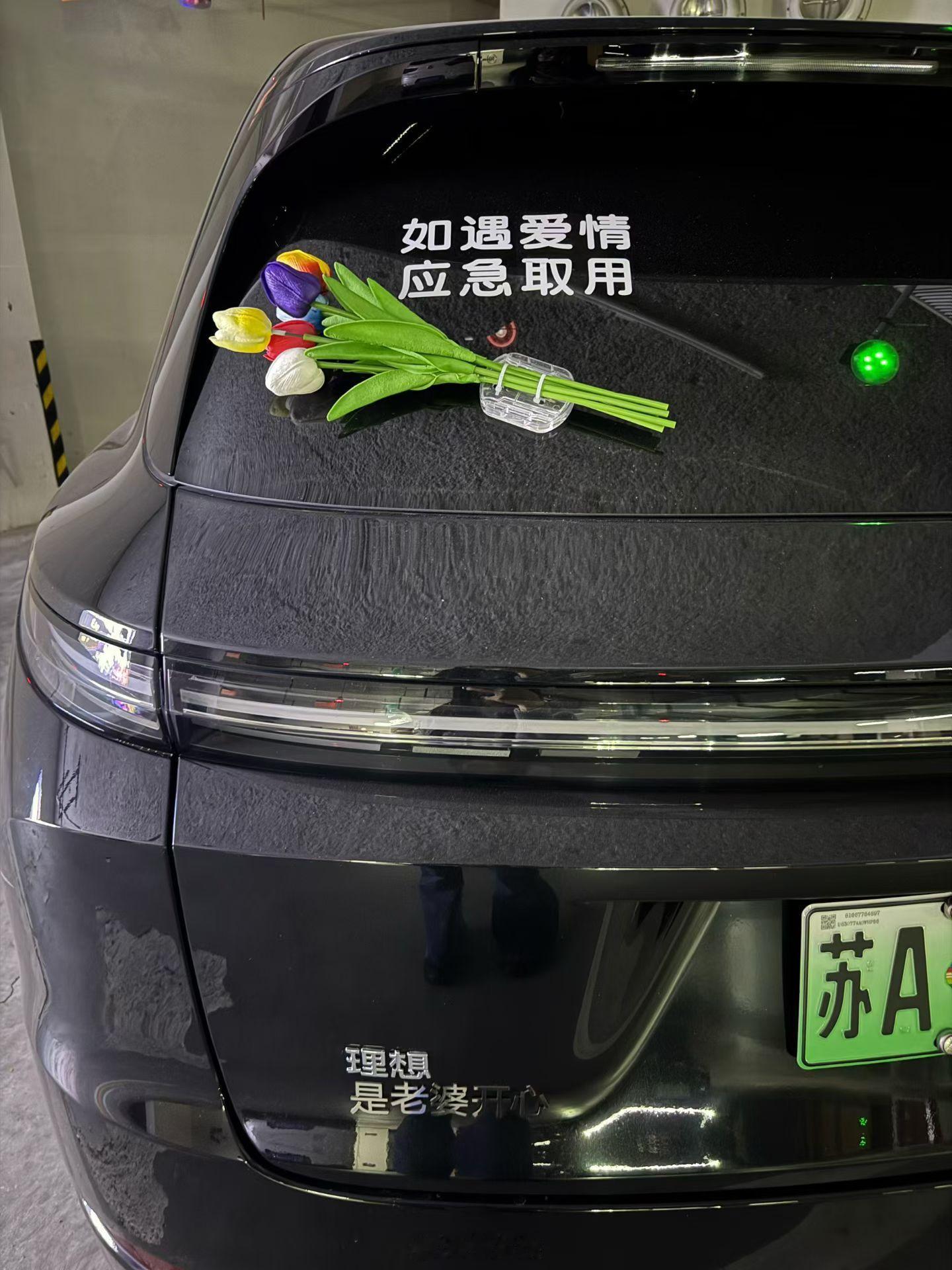 看到这个车屁股是不是对理想车主改观了一些？大v聊车​​​