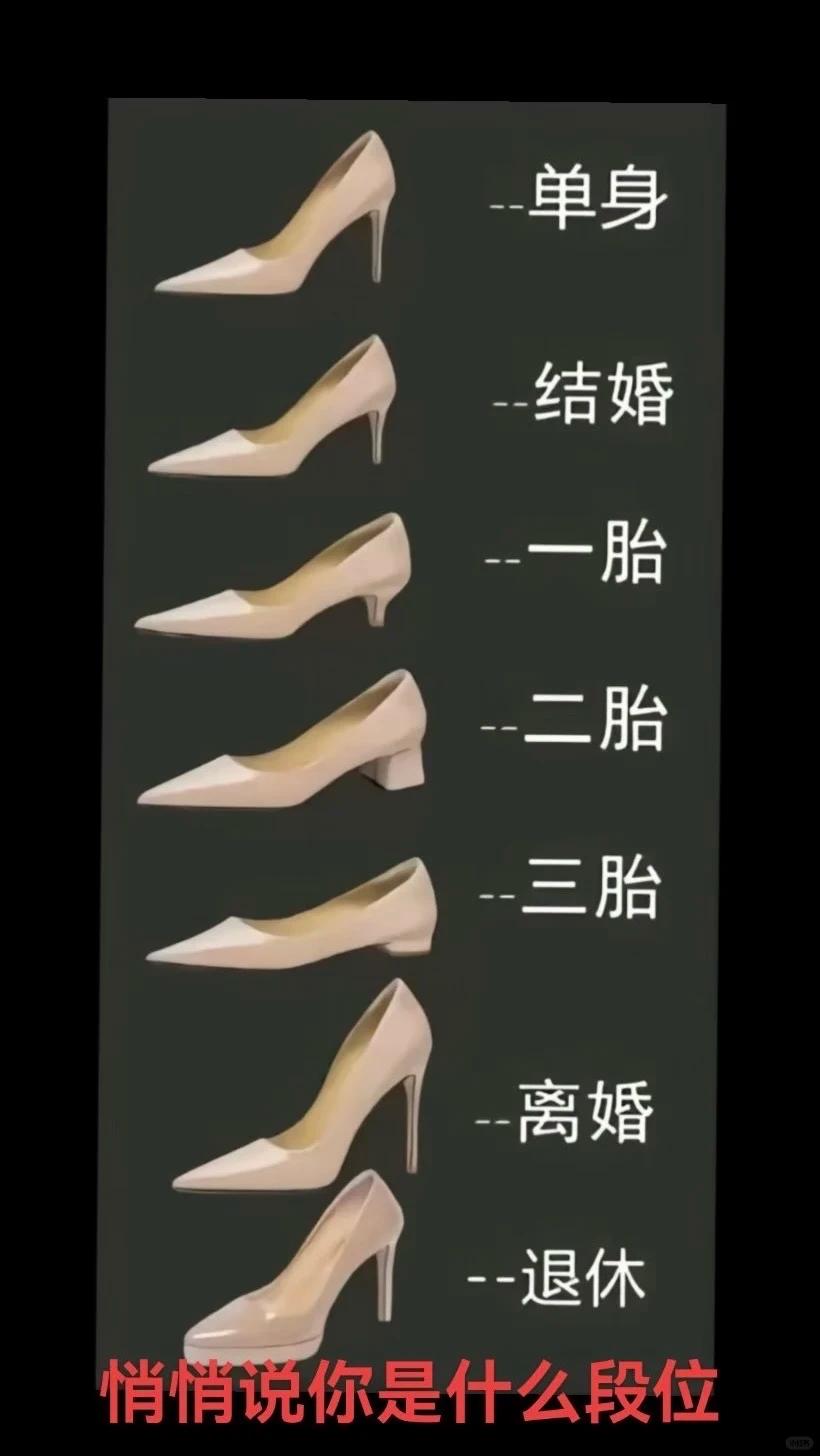 按这个路线，感觉三胎是运动鞋，退休该是平底，大家觉得呢？