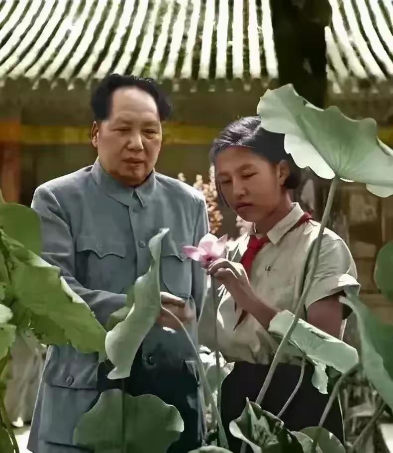 罕见上色老照片！毛主席荷塘陪孩童赏荷，眼神温柔看哭无数中国人谁能想到，指点