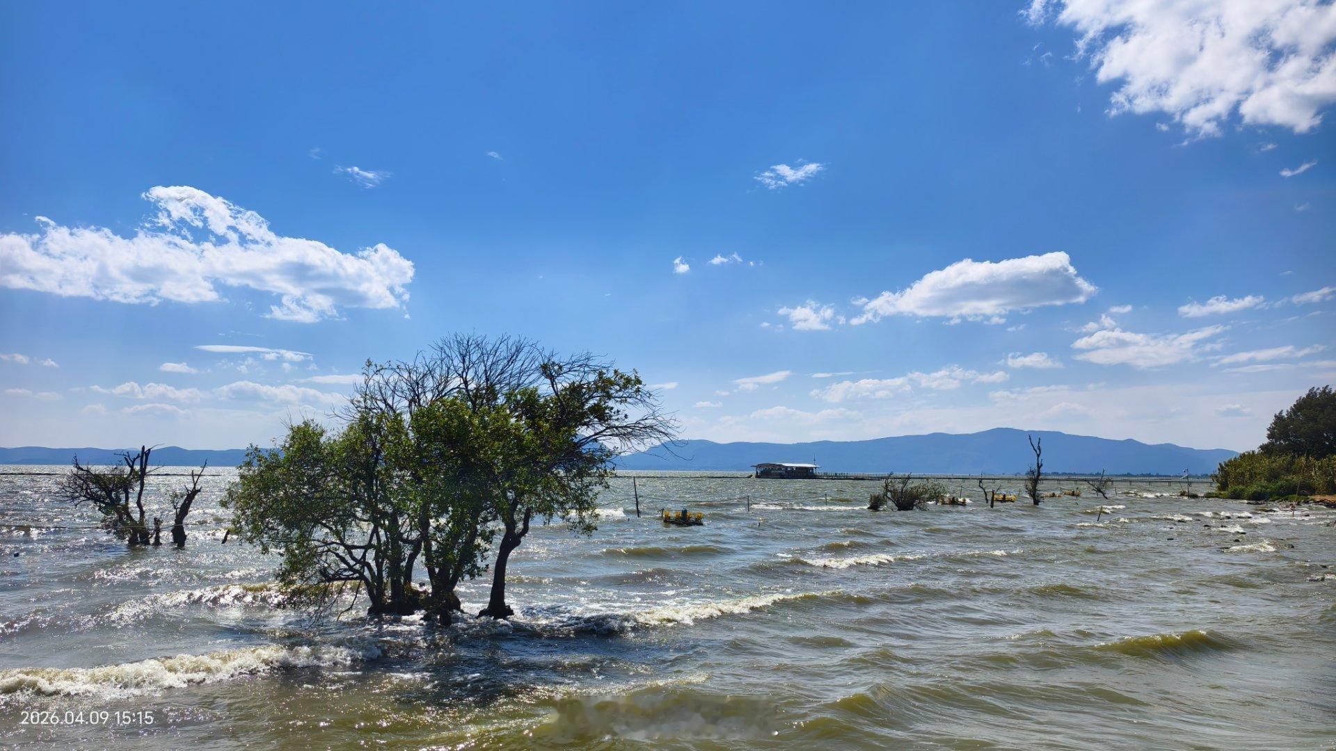 好天气，适合出去吹吹风。
