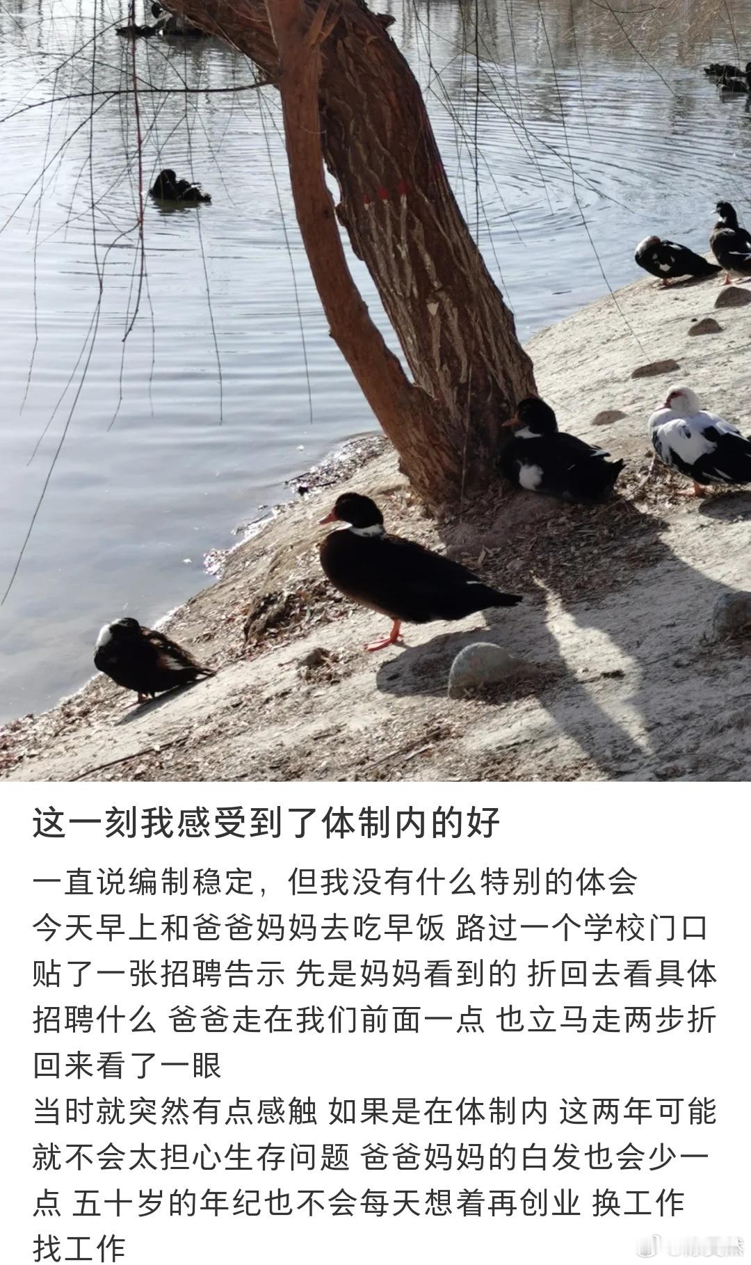 这一刻让我感受到了在体制内的好