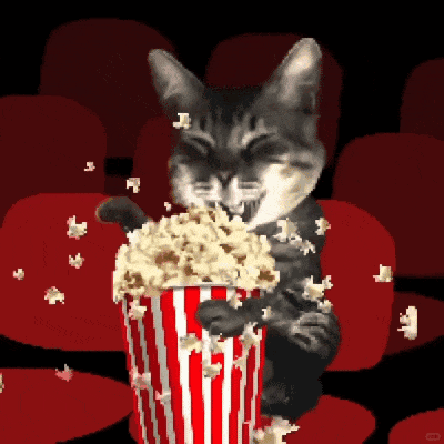 搞来了一些怪猫gif
