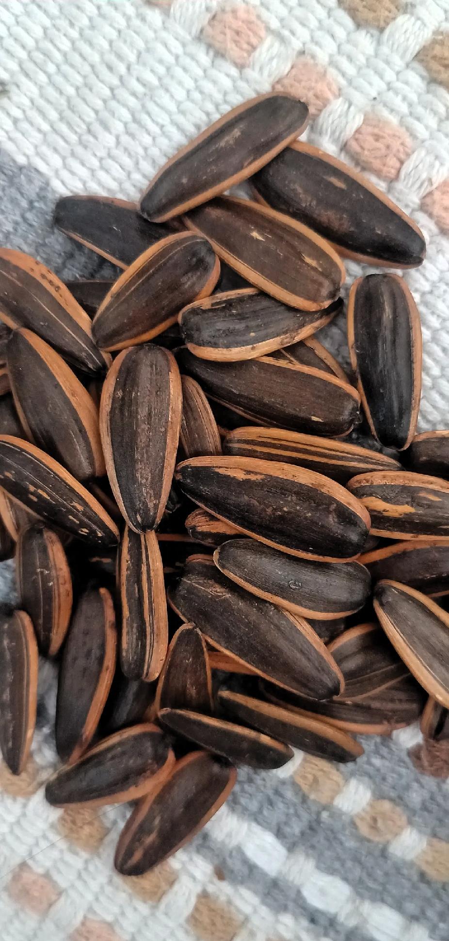 奉劝那些，喜欢吃瓜子的人吃完瓜子一定要多喝水，否则容易上火昨天嘴馋去超