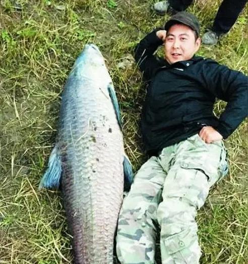 2025巴黎航展，熊猫家记者把法国阵风一顿介绍，其它国家都不解，为什么不介绍你自