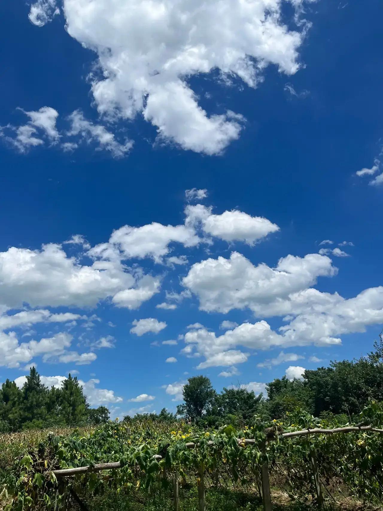 人生如行走在漫长的旅途，风霜雪雨总是不请自来。有人说，人生的坎坷像是天上的繁星，