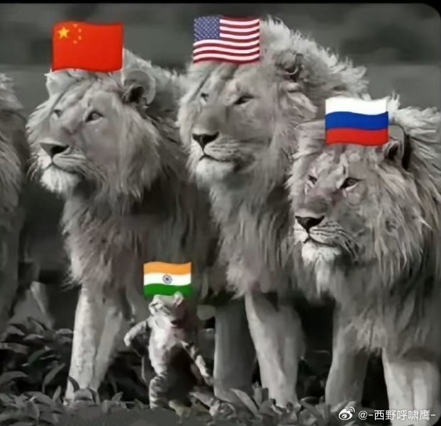 外国网友总结的印度国际影响力真实地位。可惜，印度对自己应有的位置，总是存在着莫名