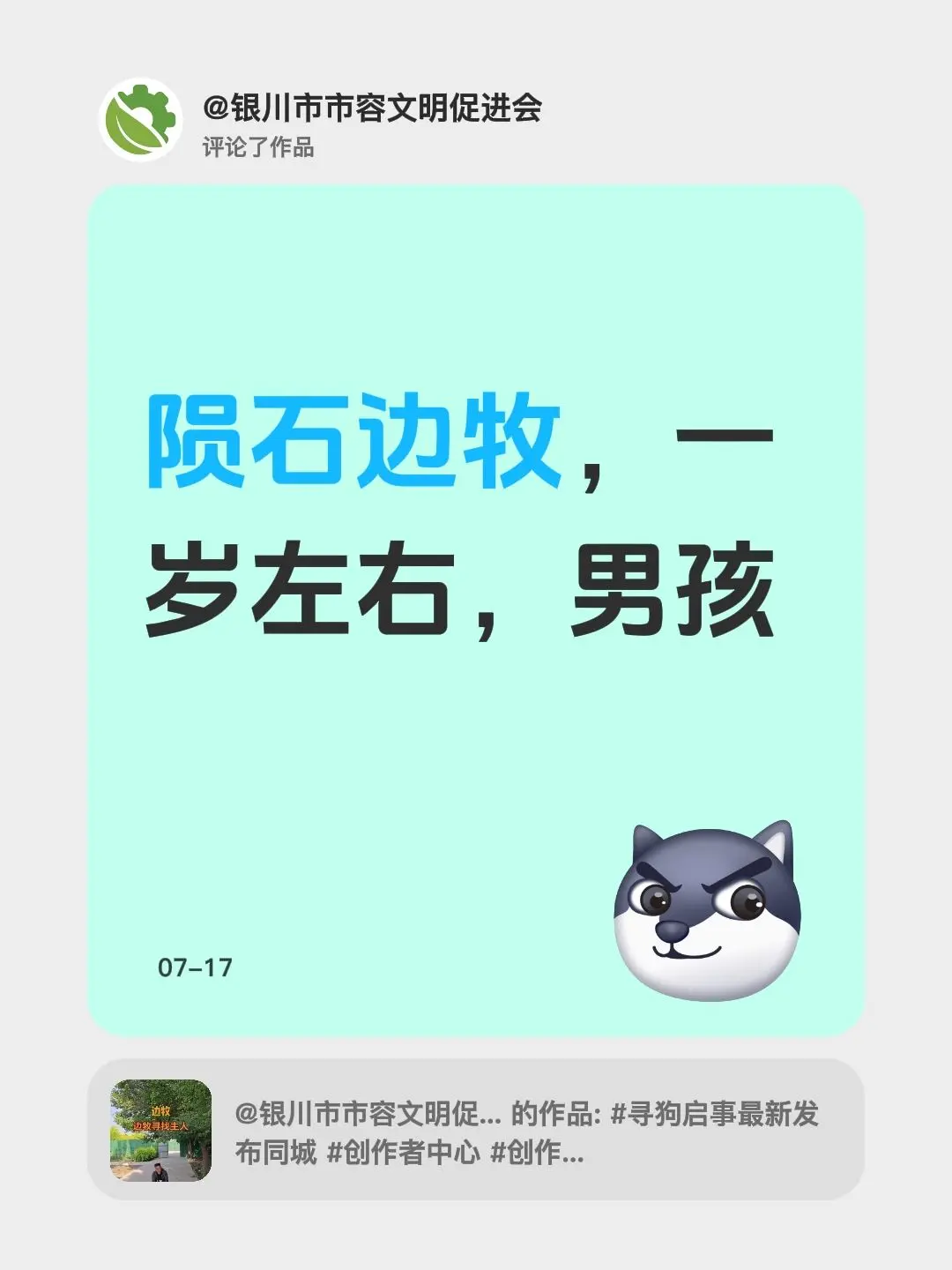 我评论了 的作品： 陨石边牧，一岁左右，男孩