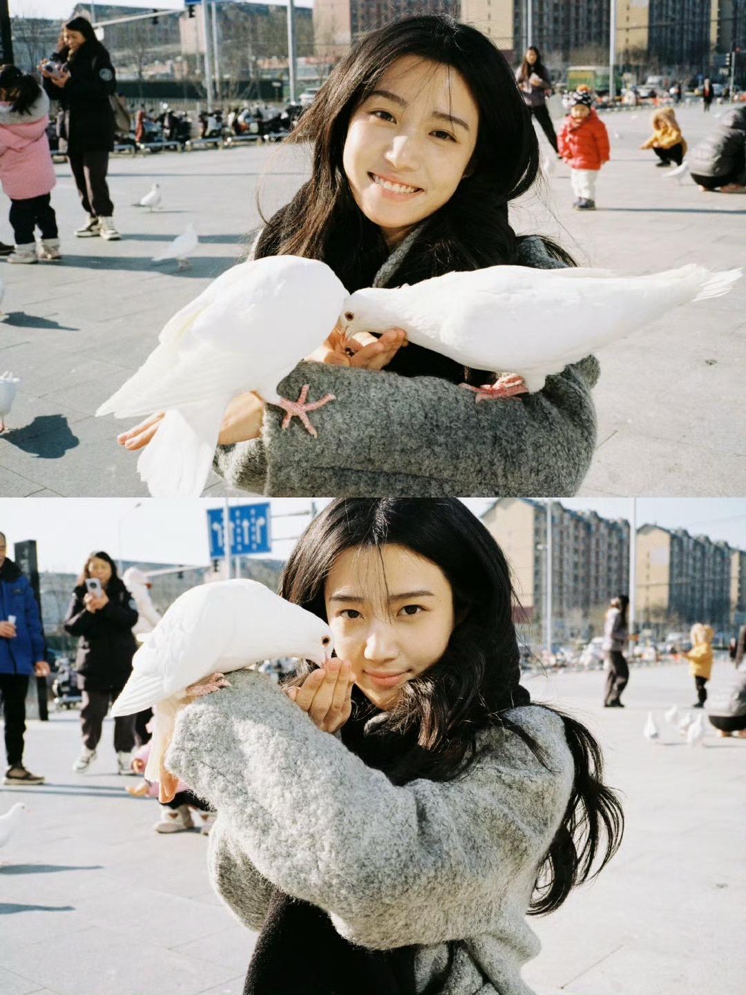 🕊️。