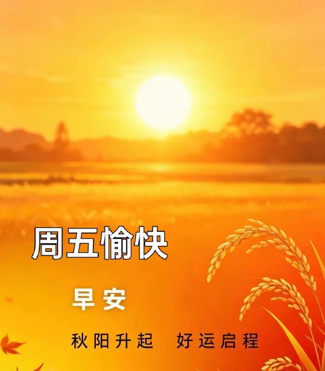 早安问候里哪句藏着思念？有人说，早安只是一句普通的日常问候。可只有藏