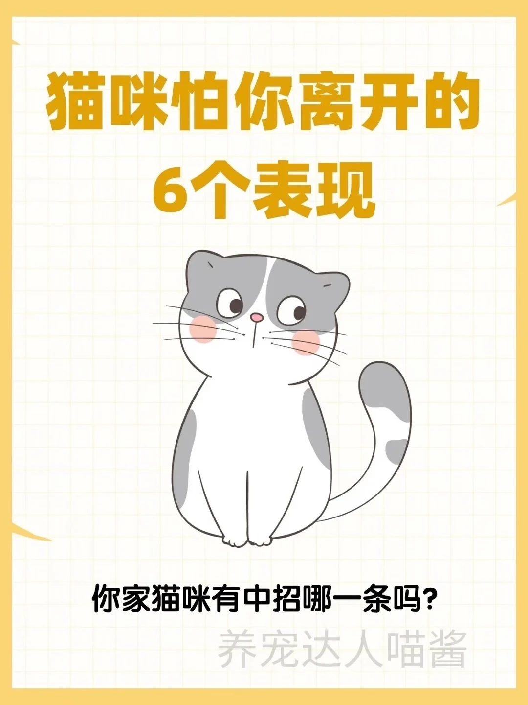 猫咪怕你离开的6个表现