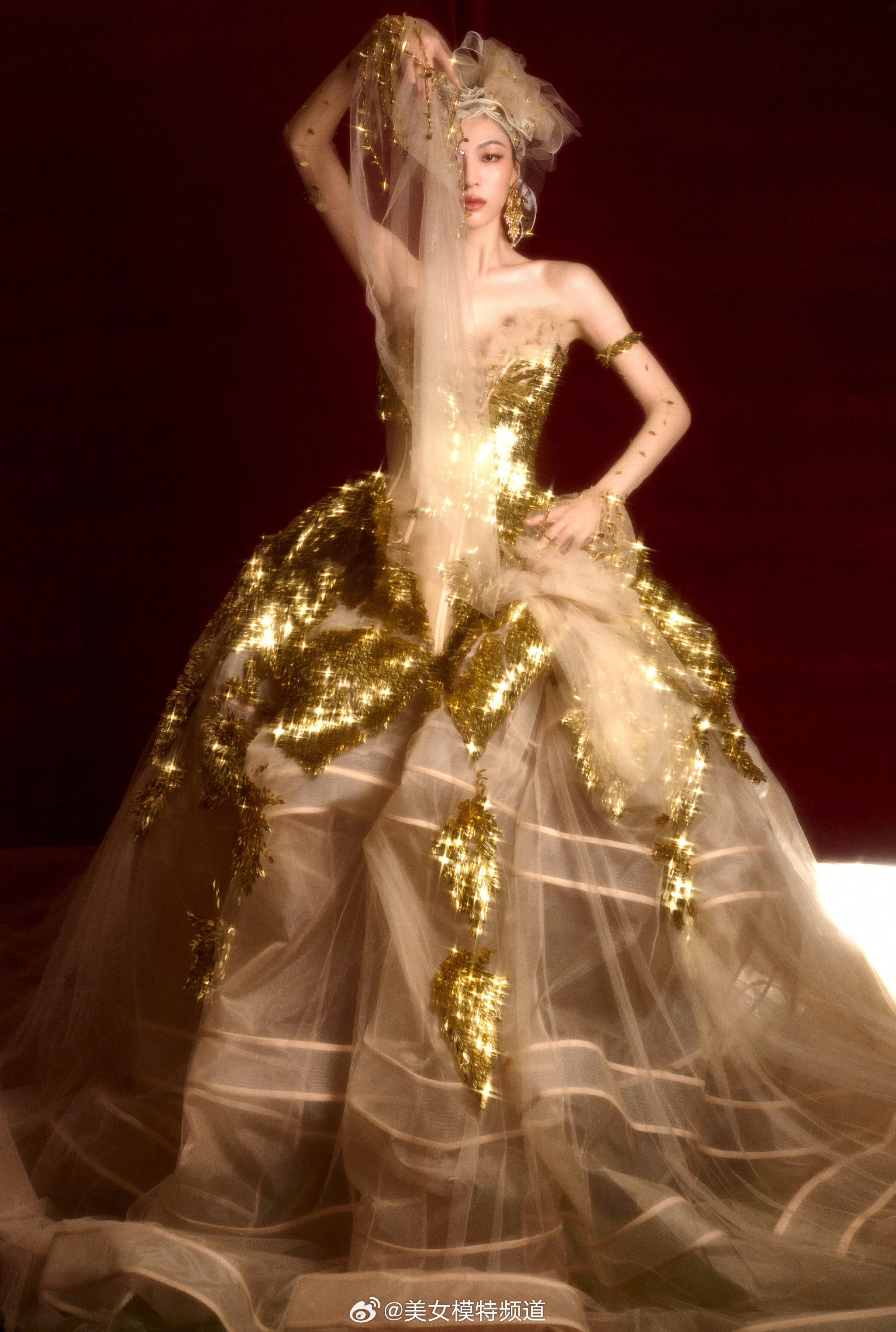 钟楚曦一袭鎏金薄纱裙星光熠熠