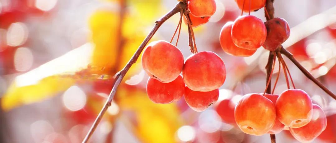 昨天，建了一个初中高中都是同学的同学群，共有36个人，因为现在大多数同学们分散国