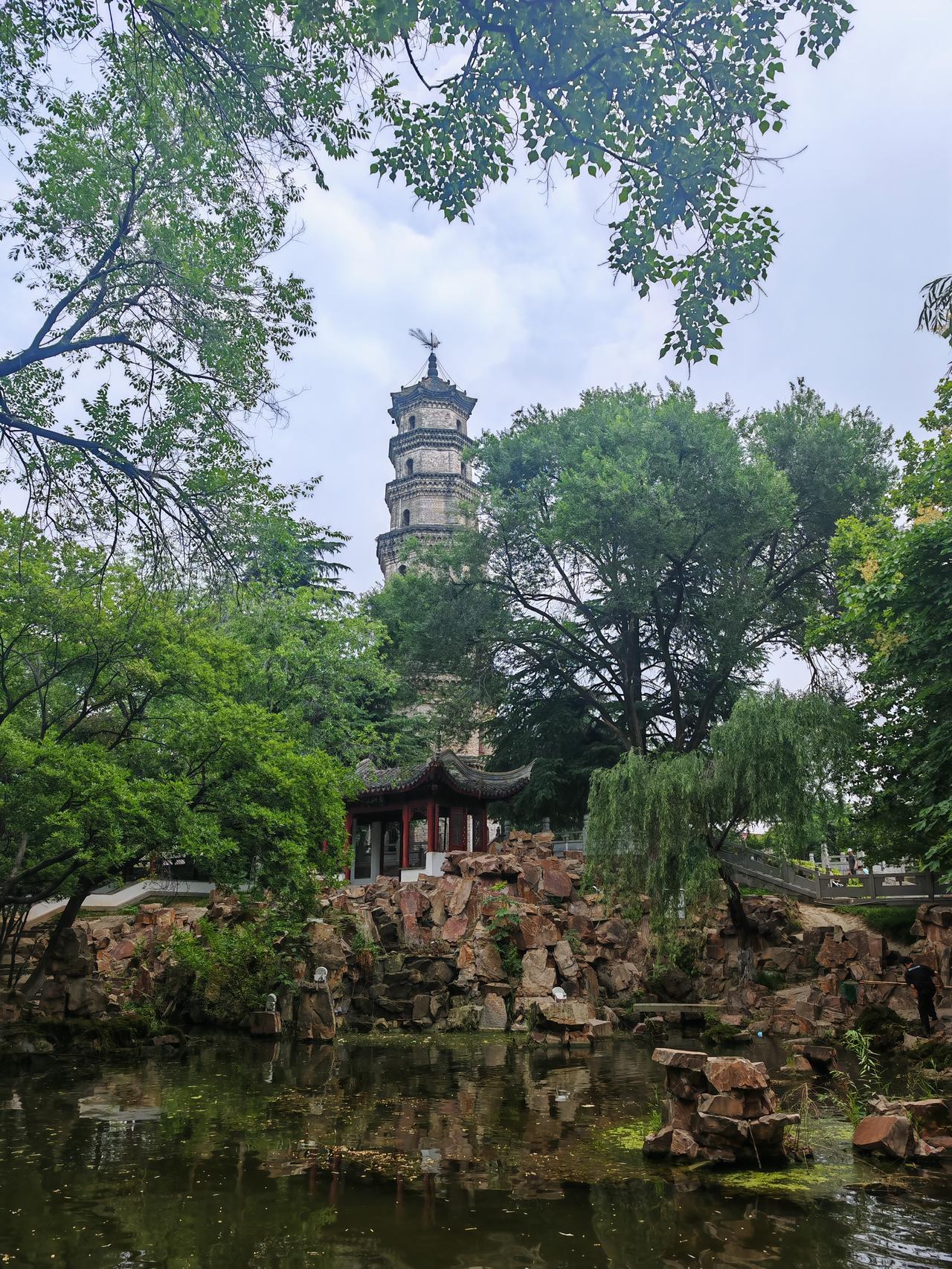 水草打扫一下景色更上一层楼