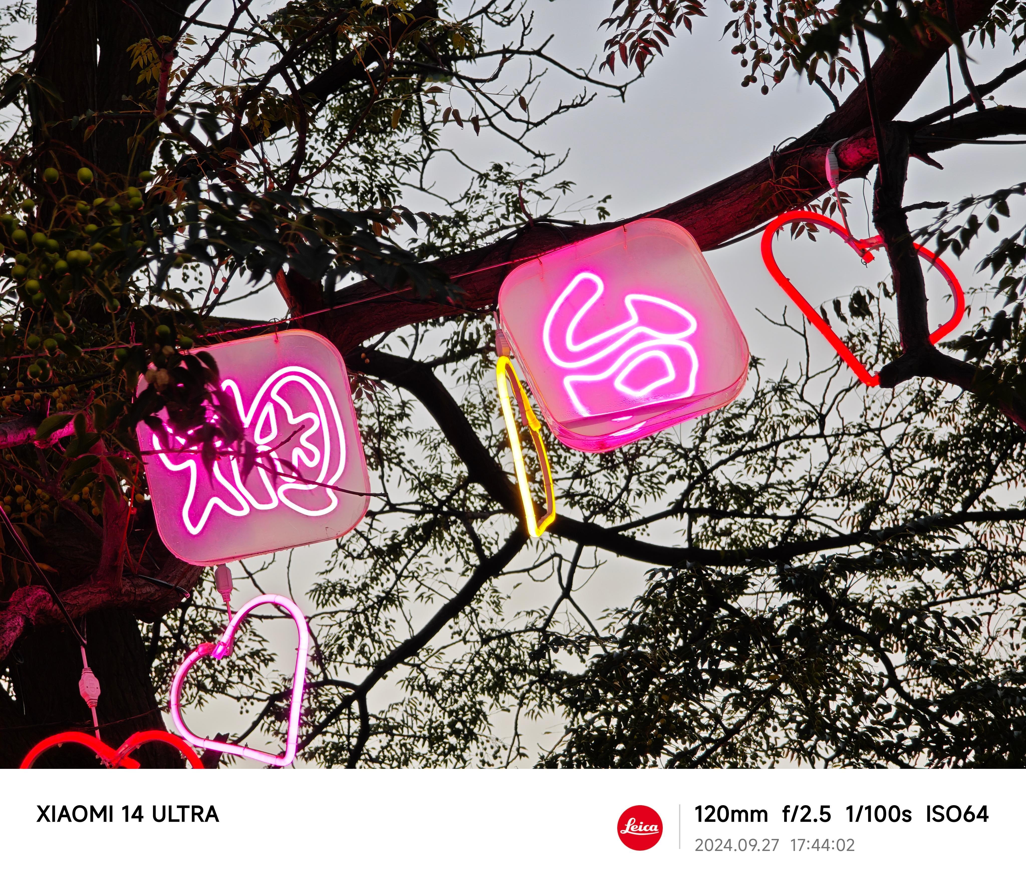 晚安我的日常plog