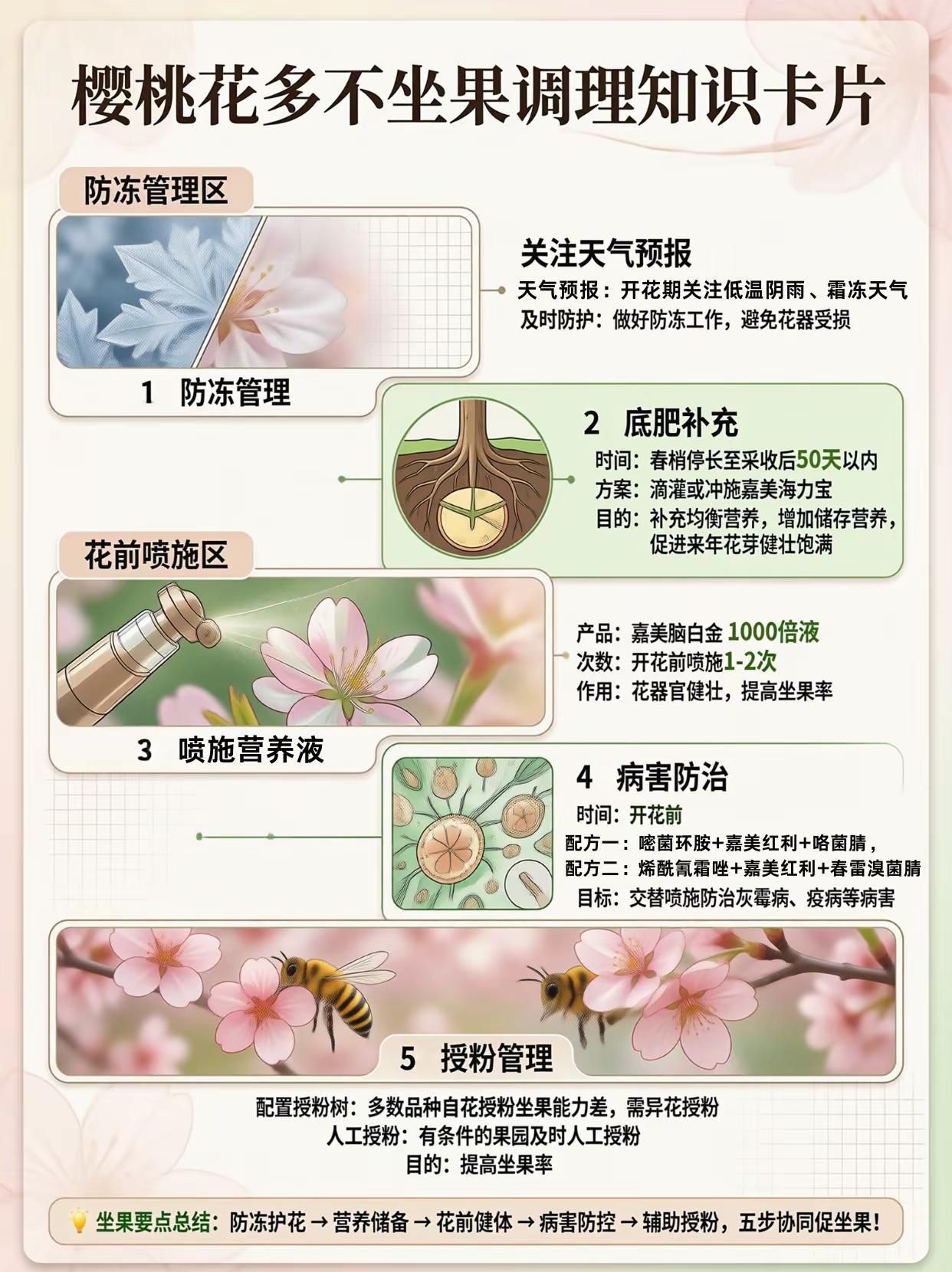 樱桃花多不坐果？怎么办？。樱桃种植开花