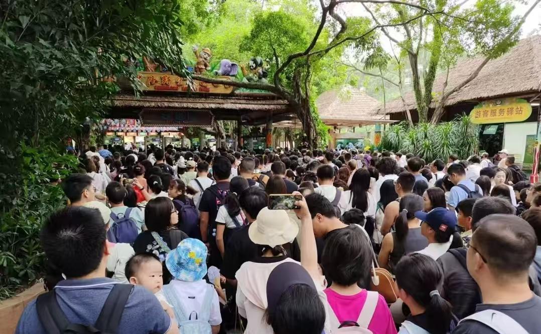 国庆还没到，骆驼和凯乐石的库存快被95后扫空了。不是他们爱登山，是朋友圈必须有