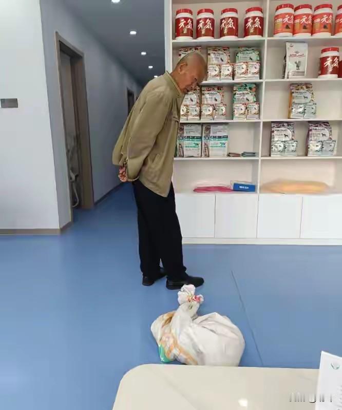 泪目了！这天一位老人拎着一个编织袋来到了宠物医院，他心急如焚地说他的猫咪生病了，