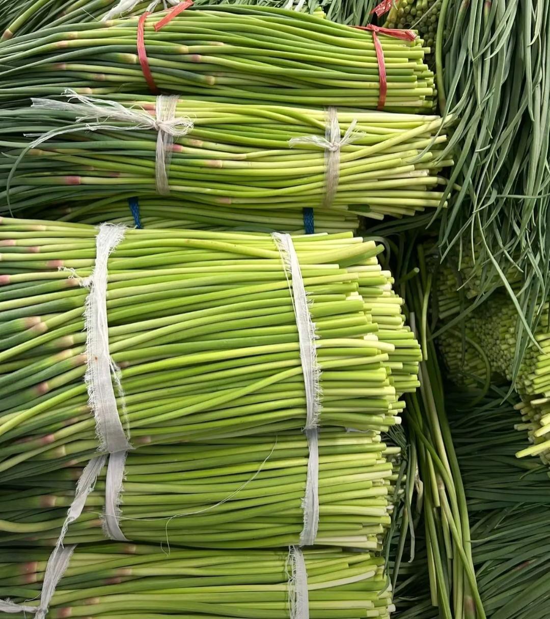 绿萝绕指柔，春意满怀中。北方又到了吃它的季节，问一下南方人这是什么菜，不到一块钱