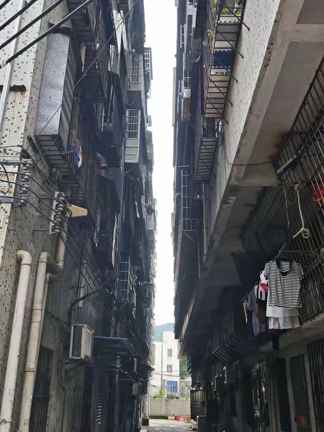 梅姨藏身地每天十几人打卡拍照，最后租住地招租广告被撤下，邻居回忆其广州蜗居生活：