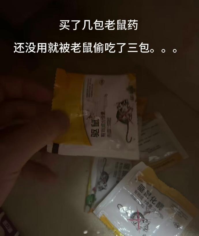 老鼠不是吃了药而是吃了没有文化的亏！​​​