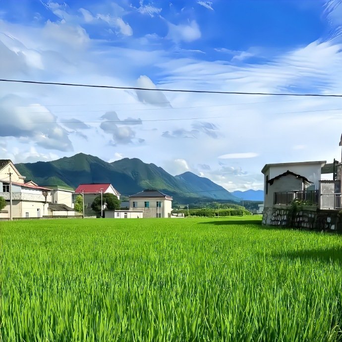 “乡村的风景并不惊艳,但足够治愈”