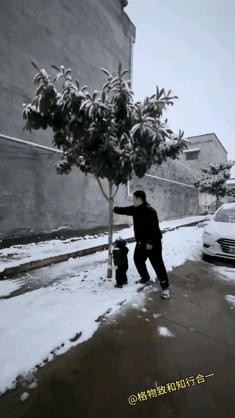 现在为人父母的年轻人，都不知咋想的，把孩子当玩具耍，太不负责任了吧