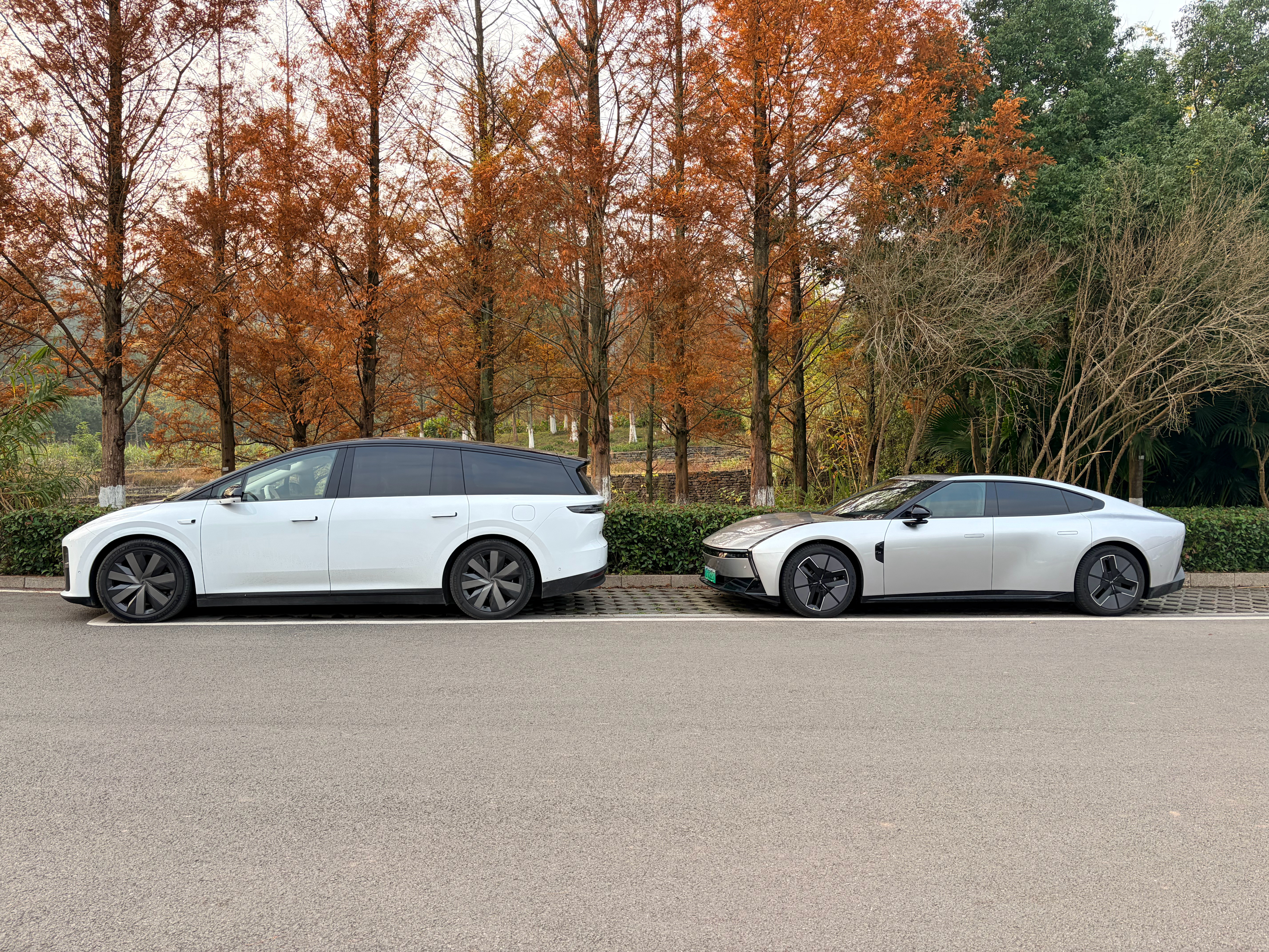 渝北，不对，两江新区到处都是大公园，溜车遛娃都方便。重庆·两江龙湾森林公园