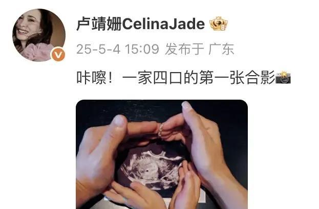 之所以大家对卢靖姗怀二胎很惊讶，主要是因为他们夫妻分房睡的，大家以为就是禁欲的意