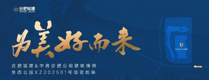 合肥二手房为什么难卖。因为有各种新房，不断的卖地。合肥新站区生态公园地块拍卖了